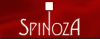 Logo: Spinoza ház